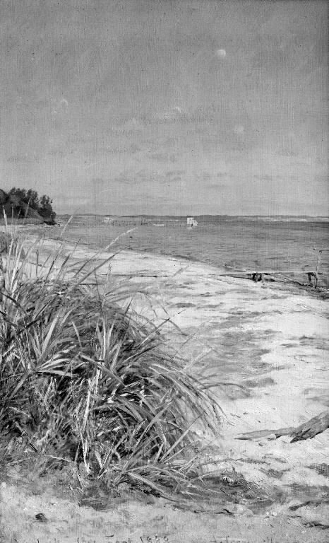 The Coast of Vedbæk, North of Copenhagen, 1888, August Jerndorff