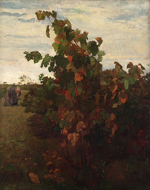 Vine, 1856, Soběslav Pinkas