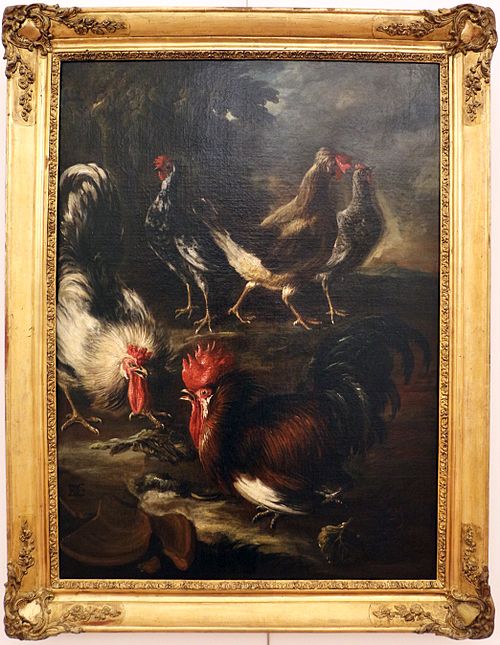 rissa di galli, , Baldassare de Caro