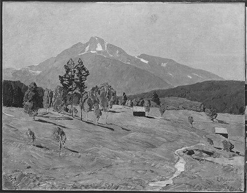 Bergmoos bei Seefeld in Tirol, 1914, Ludwig Bolgiano