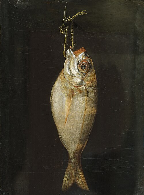 Bream, 1750, Bartolomé Montalvo