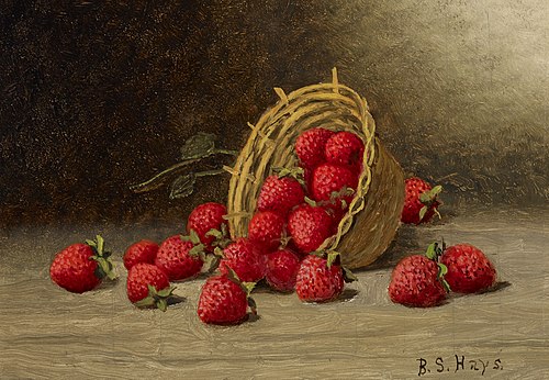Strawberries, , Barton Stone Hays