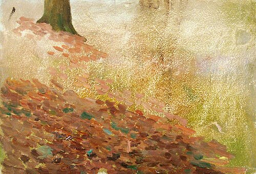 Forest Floor, , Benjamin Haughton