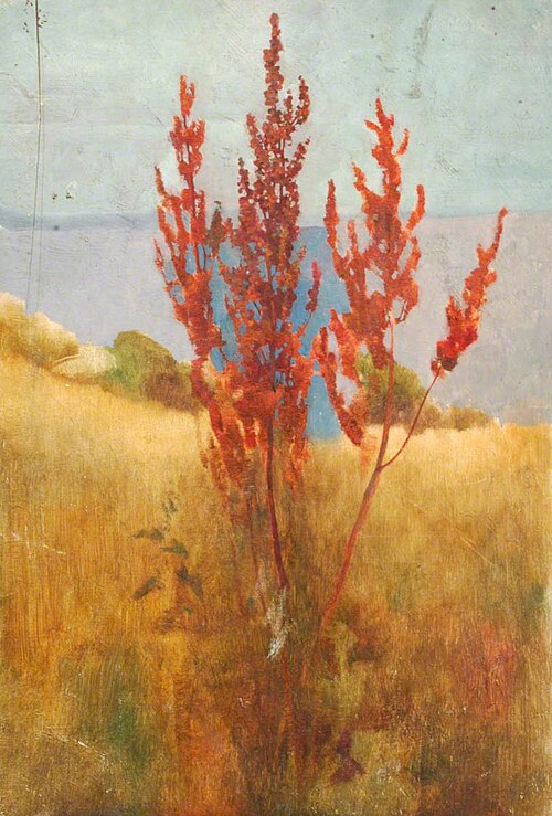 Red Sapling by the Sea, , Benjamin Haughton