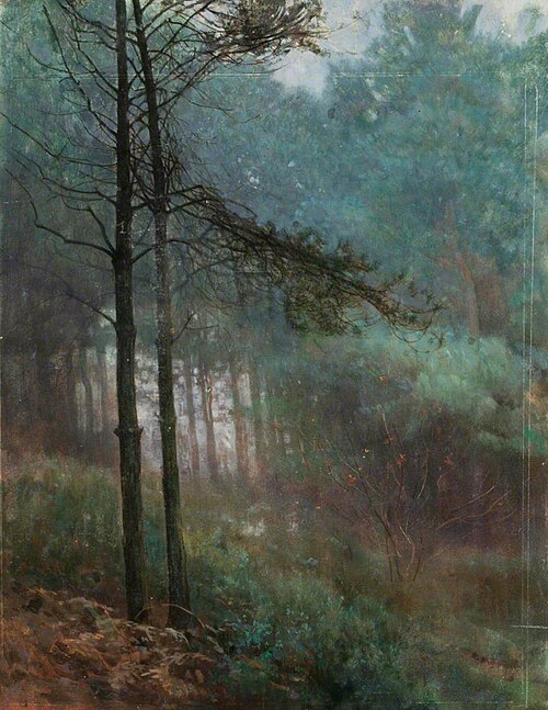 Study of Fir Wood, , Benjamin Haughton