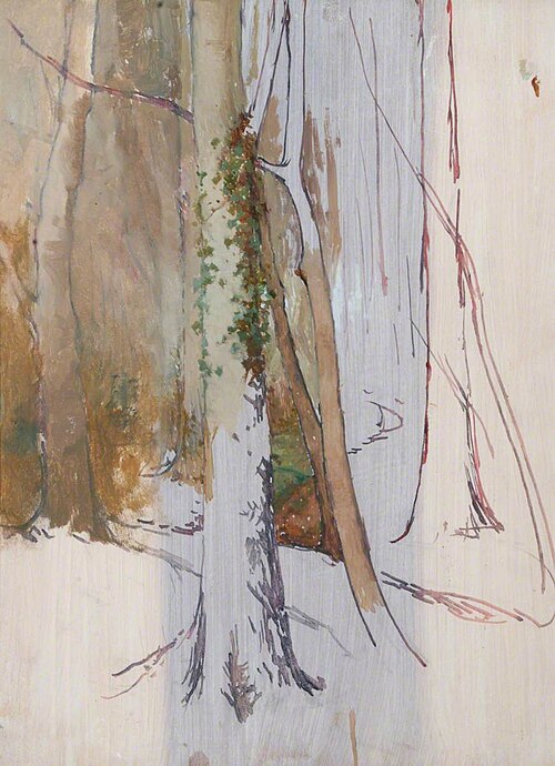 Tree Study, Summerhill, 1900, Benjamin Haughton