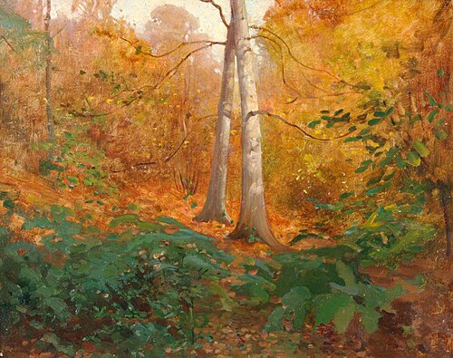 Woodland Sketch, Summerhill, 1900, Benjamin Haughton