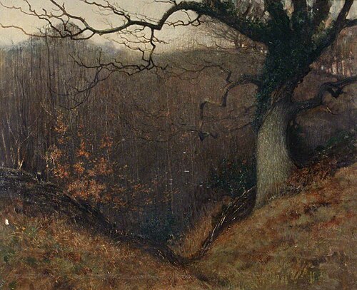 Half-Lit Woodland Scene, , Benjamin Haughton