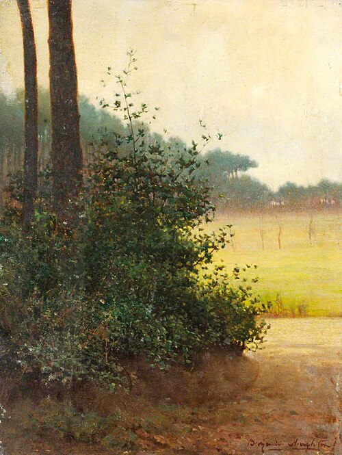 Morning Shadows, , Benjamin Haughton