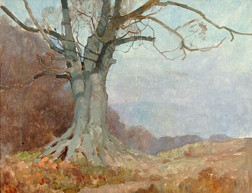 Beech on the Quantocks, , Benjamin Haughton