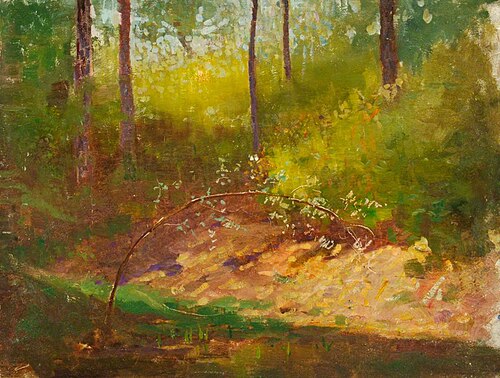Woodland Undergrowth, , Benjamin Haughton