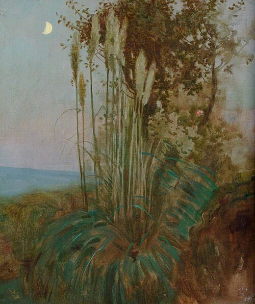 Rushes in Mediterranean Twilight, , Benjamin Haughton
