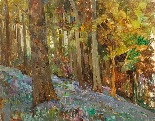 The Rookery, Bluebell Time, East Downe, , Benjamin Haughton