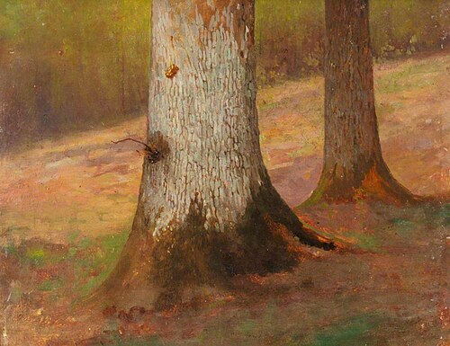 Study of Oak Boles, , Benjamin Haughton