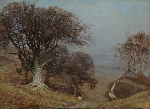 Beeches on the Quantocks, 1900, Benjamin Haughton