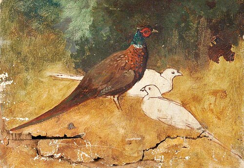 Pheasants, , Benjamin Haughton