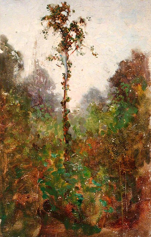 Woodland, , Benjamin Haughton