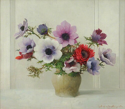 Anemones, , Benjamin Haughton