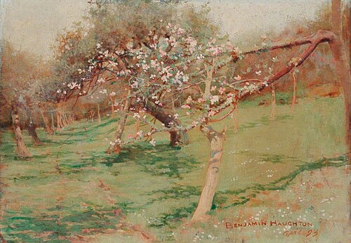 Trees in Blossom, , Benjamin Haughton