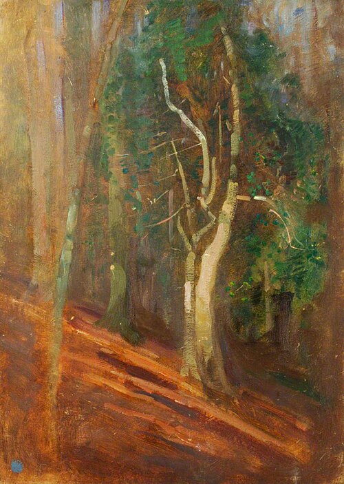 Trees in a Wood, , Benjamin Haughton