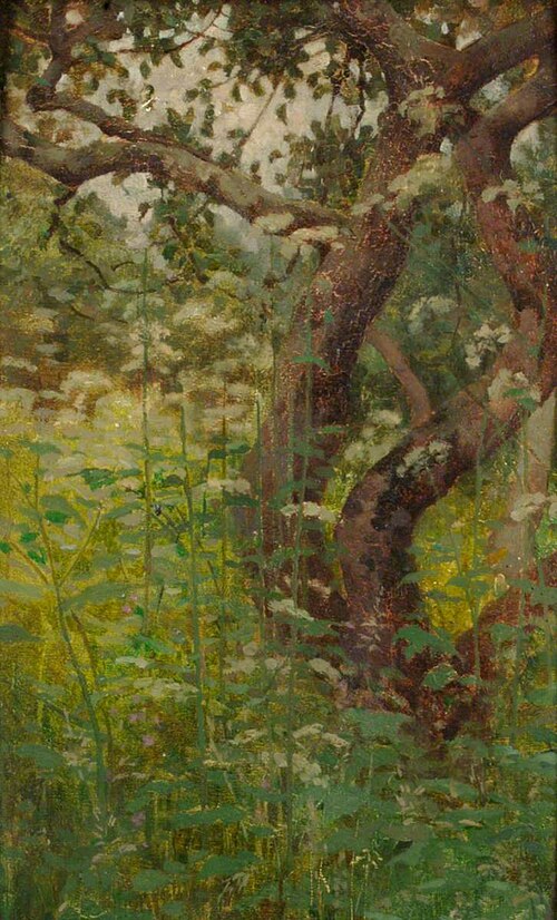 Hemlock, , Benjamin Haughton