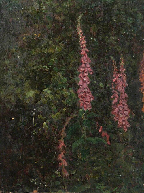 Foxgloves, , Benjamin Haughton