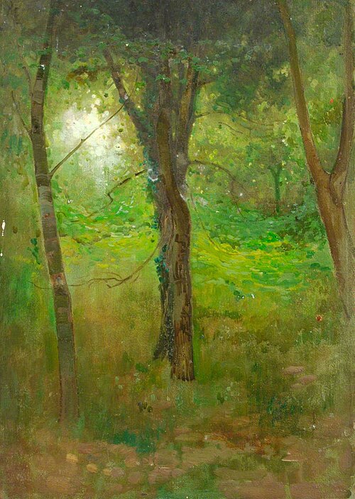 Trees and Undergrowth, , Benjamin Haughton