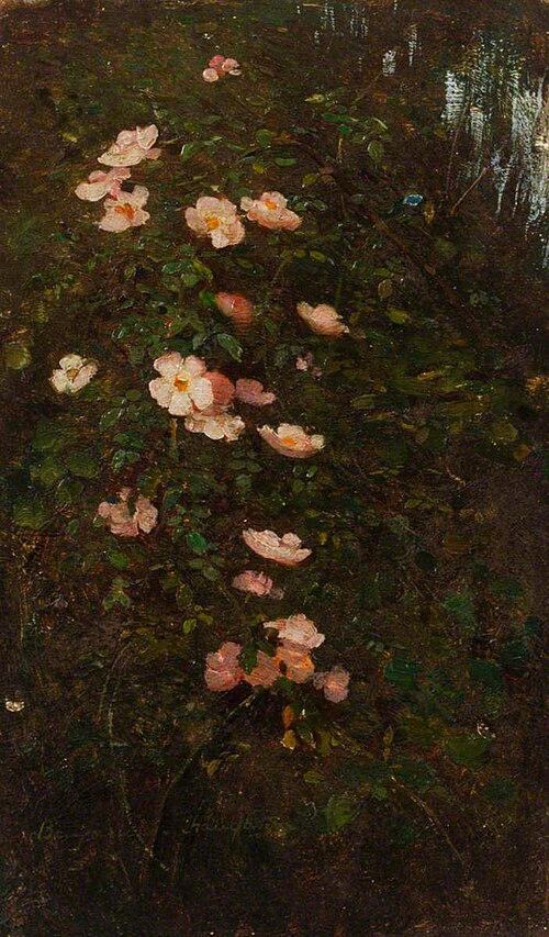 Wild Roses, , Benjamin Haughton
