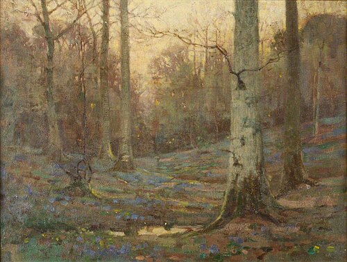 Woodland Glade, , Benjamin Haughton