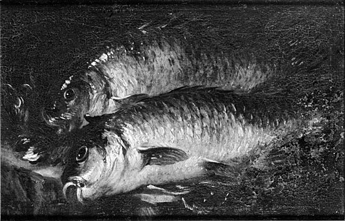 Two Carps on a Kitchen Table, 1676, Felice Boselli