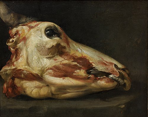 Skinned Head of a Young Bull, 1690, Felice Boselli