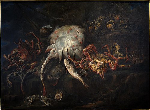 Divers poissons et araignées de mer, 1700, Felice Boselli