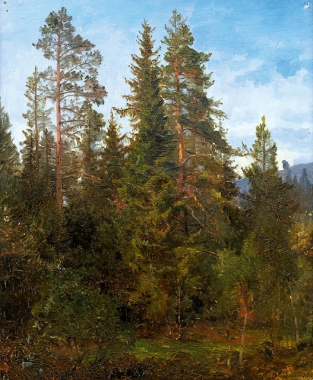 Skogsstudie fra Eide., 1868, Anders Monsen Askevold