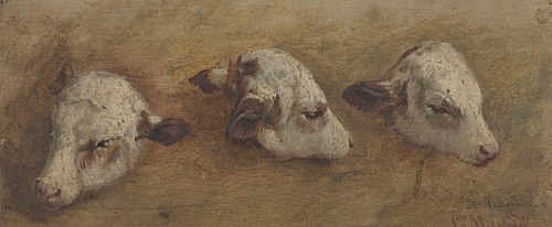 Study of Calfheads, 1858, Anders Monsen Askevold