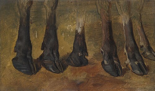 Study of six hooves, 1855, Anders Monsen Askevold