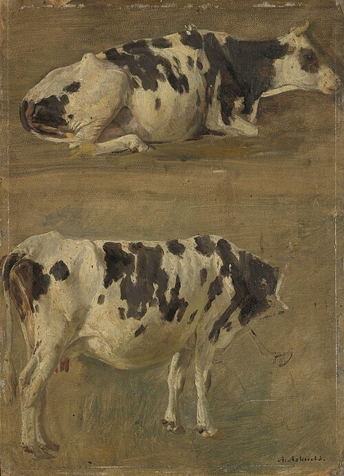 Study of two Cows, 1900, Anders Monsen Askevold