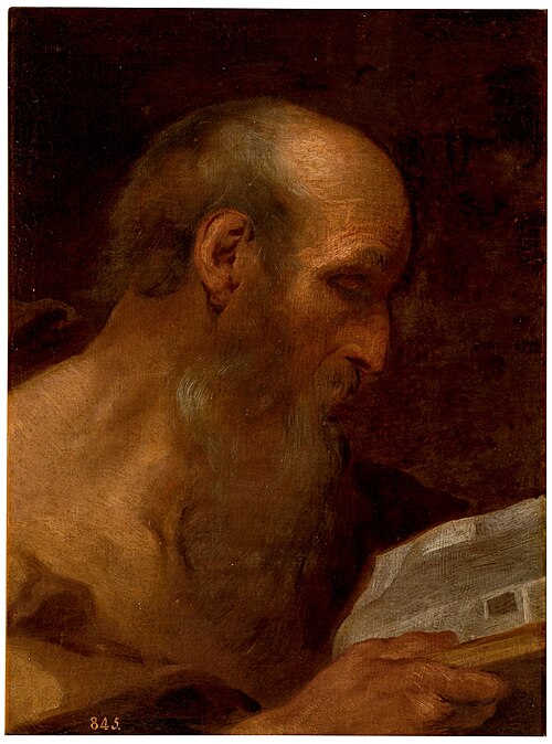 Estudio de cabeza, 1601, Andrea Sacchi