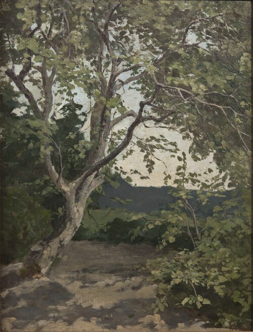 A Tree. Study, , Anna Nordlander