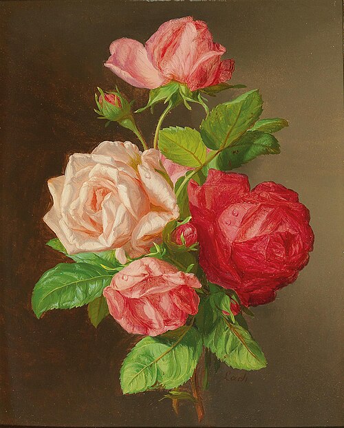 Roses, 1882, Andreas Lach