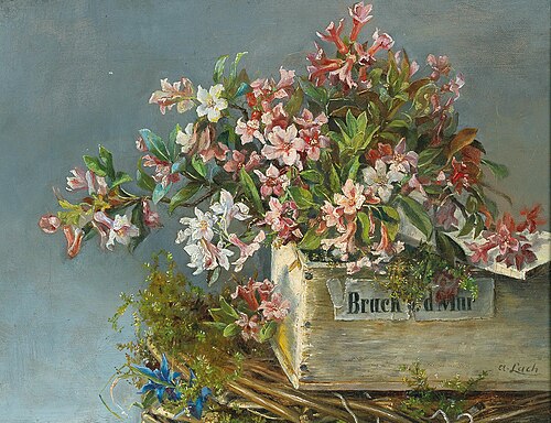 Alpine Roses in a Window Box, 1882, Andreas Lach