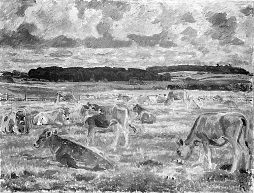 Jersey cows, 1917, Peter Hansen