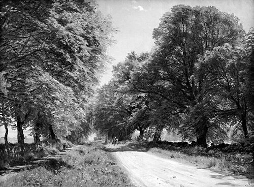 Krogerup Allé. Eftermiddag, 1896, Godfred Christensen