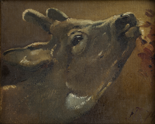 Study of a deer, 1874, Holger Roed
