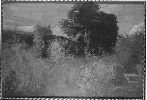 Wiesenlandschaft, , Hermann Völkerling