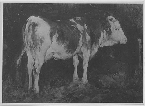 Kuh im Stall (auf der Rückseite: Liegende Kuh), 1880, Emil Squindo