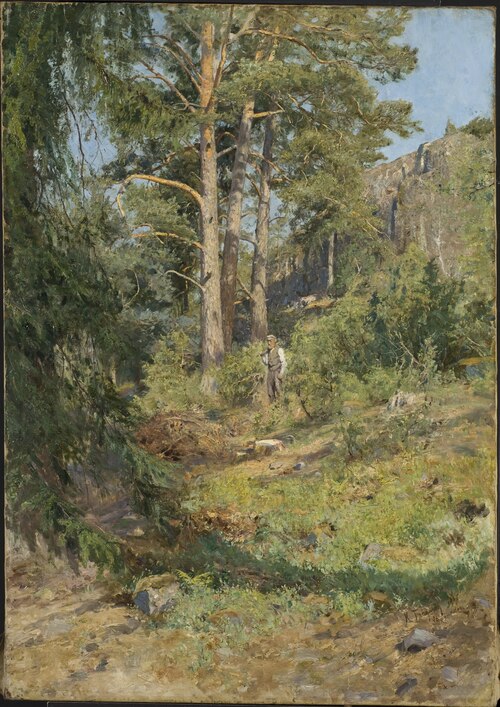 Pine Forest Skutudden, 1887, Carl Trägårdh