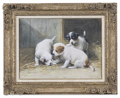 Spelende St. Bernardpups,, , Otto Eerelman