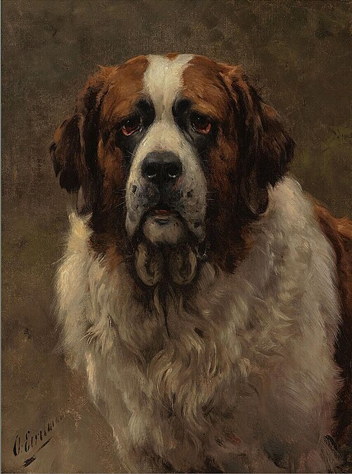 Head of a St. Bernard Dog, 1895, Otto Eerelman
