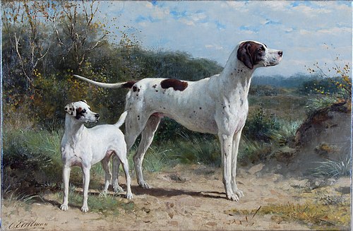 Honden, , Otto Eerelman