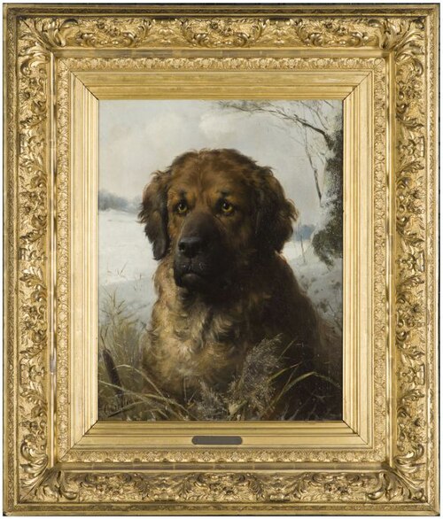 Grote Sint Bernard hond, 1899, Otto Eerelman